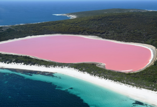 PINK LAKE